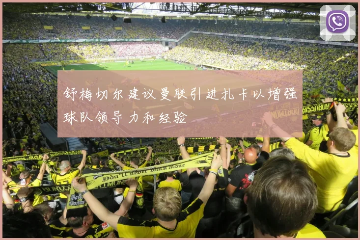 舒梅切尔建议曼联引进扎卡以增强球队领导力和经验