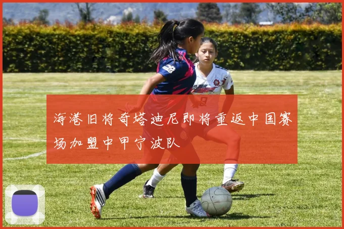 海港旧将奇塔迪尼即将重返中国赛场加盟中甲宁波队